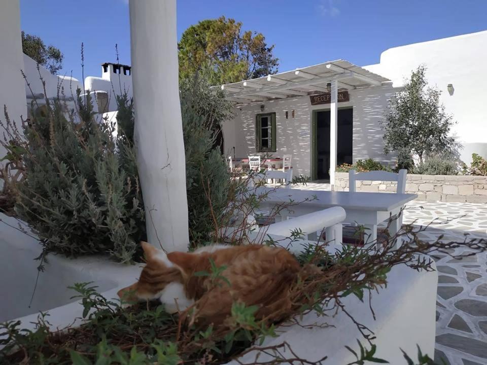 Thalassitra Village Hotel Αδάμας Εξωτερικό φωτογραφία